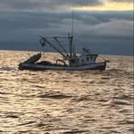 Profile Picture of Joey Crocker (@joey.crocker.75) on Facebook