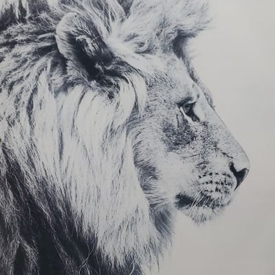 Profile Picture of Josh Curtman (@curtfit) on Twitter