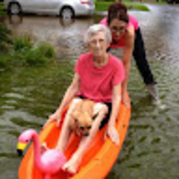 Profile Picture of Wendi Lemense (@isodorap) on Poshmark