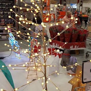 Profile Picture of Freda Watts (@freda.watts.184) on Facebook