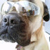 Profile Picture of Karl Stokes (@KarlStokes1) on Twitter