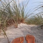 Profile Picture of Anette Hanson (@anette_hanson) on Instagram