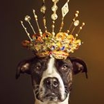 Profile Picture of Ho Thanh Lam (@lisahothanhlam) on Instagram