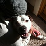 Profile Picture of Colin Gregory (@dj_elguapo) on Instagram