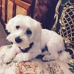 Profile Picture of Yolanda Gabarry (@yolandagabarry) on Instagram