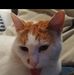 Profile Picture of Alexander Dorner (@alexander.dorner.9) on Facebook