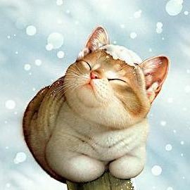 Profile Picture of Tim Zhao (@oahzmit) on Twitter