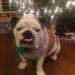 Profile Picture of Cindy Norton Echols (@cnechols) on Instagram