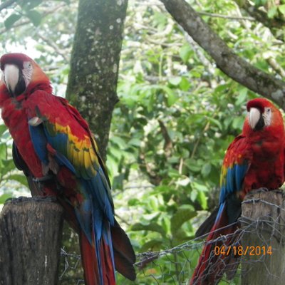 Profile Picture of Jose Valera (@josevalera0302) on Twitter