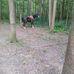 Profile Picture of Menno Yoder (@menno.yoder.940) on Facebook