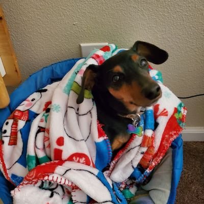 Profile Picture of Steve Longoria (@SteveLongoria7) on Twitter