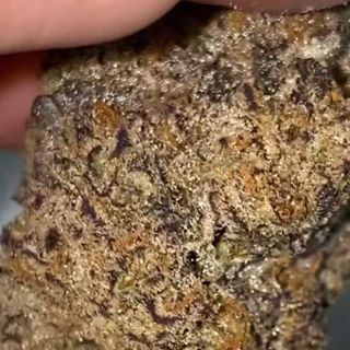 Profile Picture of Michael Charney Jr. (@Michael-Charney-Jr) on Facebook