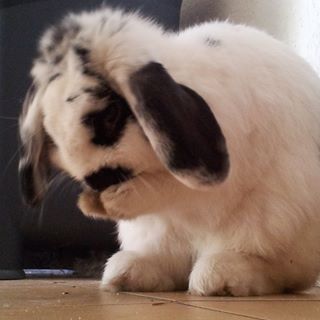 Stephane Clary - Facebook Profile Picture of Stephane Clary (@stephane.clary.3) on Facebook