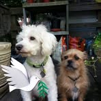 Profile Picture of Linda Patricia Bruner (@Linda-Patricia-Bruner) on Facebook