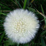 Profile Picture of Greg Blount (@gblount95) on Instagram