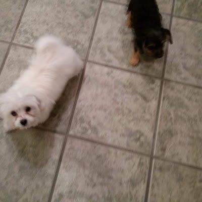 Profile Picture of albertetheridge36 (@albertetheridge36) on Tiktok