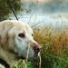 Profile Picture of Scott Mummert (@samummert) on Pinterest