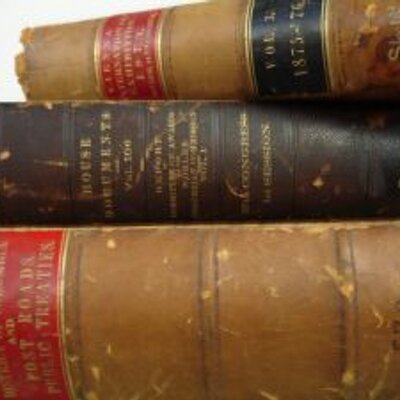 Profile Picture of T. D. Schemansky (@lawyerlink) on Twitter