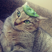 Profile Picture of Brian Marczewski (@brianmarczewski3208) on Youtube