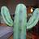 Profile Picture of Yuko Hara (@yuko_ppp2501) on Flickr