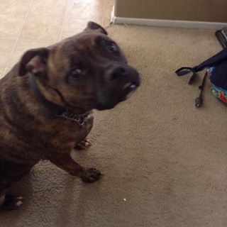 Profile Picture of Timothy Pierre (@timothy.pierre.925) on Facebook