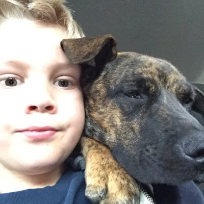 Profile Picture of Jeffrey Schultz (@Jeffrey08502818) on Twitter