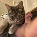 Profile Picture of Shuo Yang (@shuopp233) on Instagram