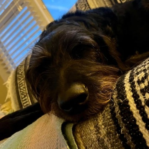 Profile Picture of Tara Amann (@tlamann1) on Poshmark