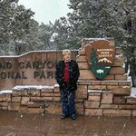 Profile Picture of Eileen Conner (@eileenconner) on Instagram