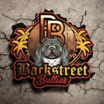 Profile Picture of Daniel Venegas (@backstreetbullies) on Instagram