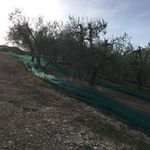 Profile Picture of Eric Severin (@severin_eric) on Instagram