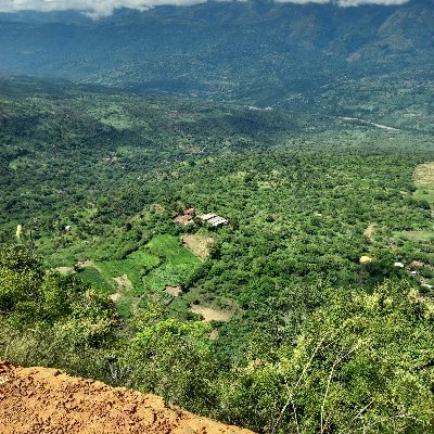 Profile Picture of Mauricio echeverria (@Maurici31650258) on Twitter