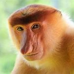 Jeremy Dietrich - Instagram Profile Picture of Jeremy Dietrich (@jeremy_dietrich) on Instagram