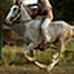 Profile Picture of Shabbir Hussain (@photo_life_raipur) on Flickr