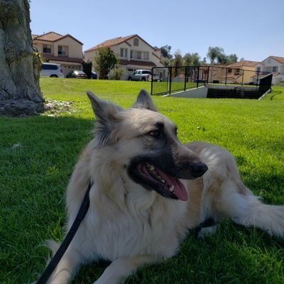 Profile Picture of C. Torres (@skylinetito) on Twitter