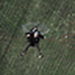 Profile Picture of Matthieu Bonnemaison (@matthieu bonnemaison) on Flickr