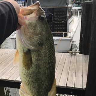 Profile Picture of Cody Mitchell (@cody.mitchell.7777) on Facebook