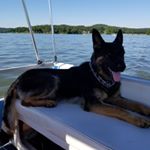 Profile Picture of Cindy Colvin Carpenter (@tammylou1961) on Instagram