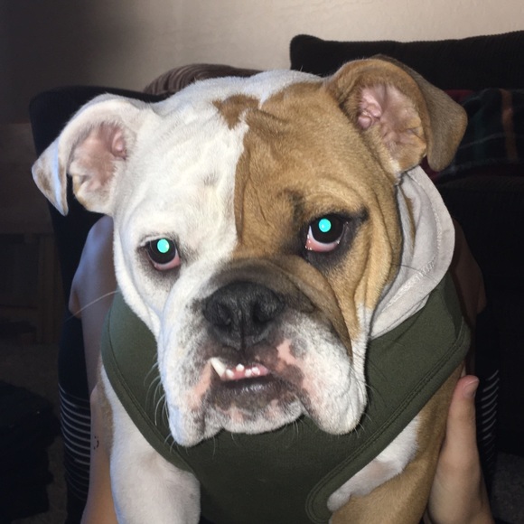 Profile Picture of Bella Youngerman (@losrer) on Poshmark