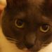 Profile Picture of Robert Bartoszek (@robert.bartoszek.75) on Facebook
