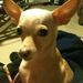 Profile Picture of Shaun Crumpler (@crump4774) on Pinterest