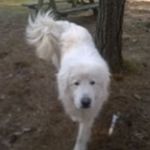 Profile Picture of Richard Stansell (@stansellrichard) on Instagram