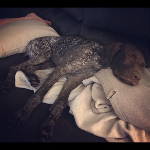 Profile Picture of Brianna Roselle (@breezy4fitness) on Poshmark