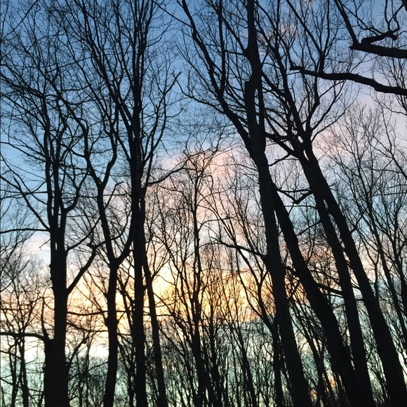 Profile Picture of Connor Dwyer (@cdwyer82) on Poshmark