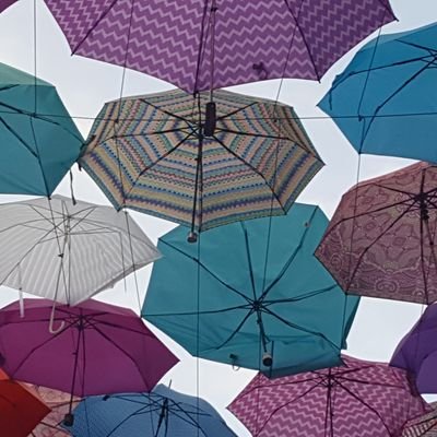 Profile Picture of John Mahler (@JohnMah65683399) on Twitter