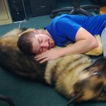 Profile Picture of Steven Barbeau (@dogjerk09) on Instagram