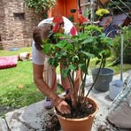 Profile Picture of Karla Jime (@Karla-Jime) on Facebook