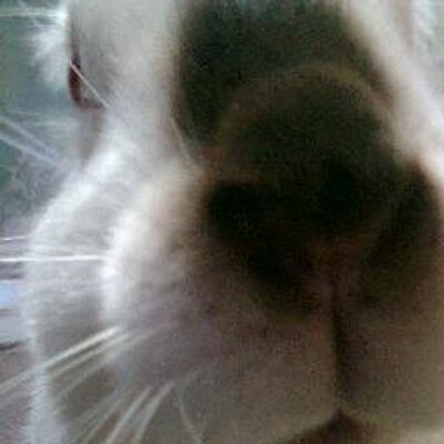 Profile Picture of Juan Carlos (@JuanCarlos_chay) on Twitter