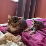 Profile Picture of Jacky & James (@jacky.en.james) on Instagram