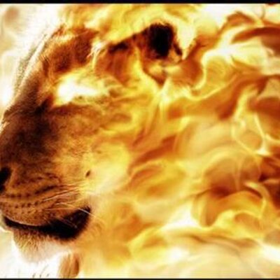 Profile Picture of Chris Kane (@PaulSuleman) on Twitter